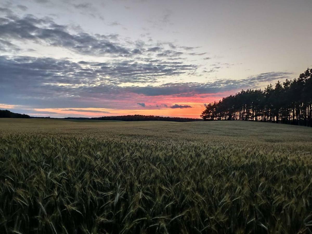Stawy U Sikory - Dom Rybak - Agroturystyka I Lowisko Nowa Wies  Buitenkant foto