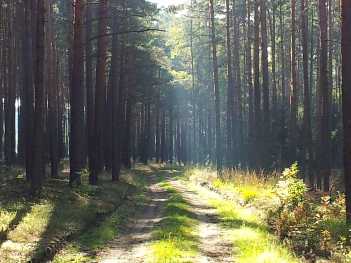 Stawy U Sikory - Dom Rybak - Agroturystyka I Lowisko Nowa Wies  Buitenkant foto