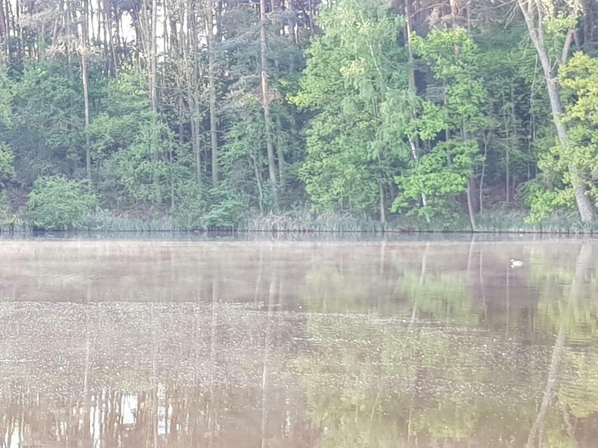 Stawy U Sikory - Dom Rybak - Agroturystyka I Lowisko Nowa Wies  Buitenkant foto